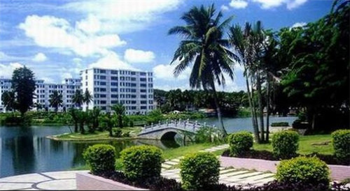 很范鲍汁脱骨鸡