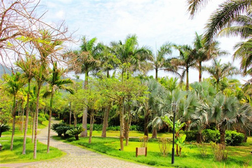 洗车加盟店脱颖而出的品牌有哪些，夜洗车成本和利润怎么算