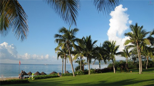 乳钙加盟什么店赚钱