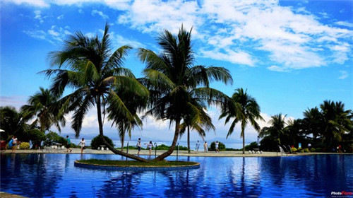 给狗起名字好吗吉利吗女（给狗起名女狗）