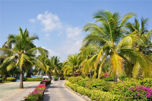 抖音退款影响金币吗（抖音退款后为什么钱会少）