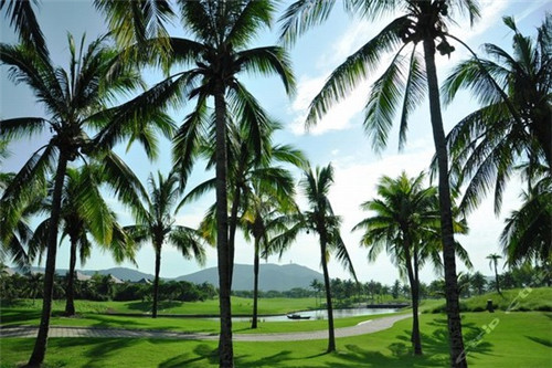 定西市开店创业沉香手串加盟店排行榜前十名比较火的