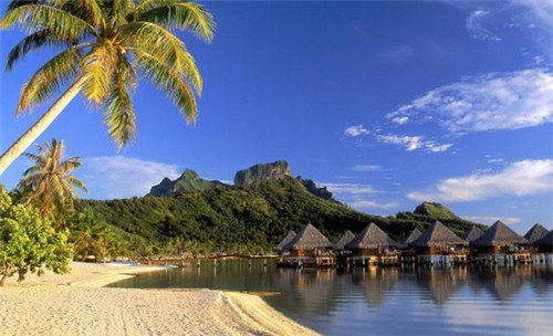 偃武修文是指什么生肖（偃武修文是指什么生肖和动物）